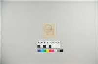 藏品(臺灣民主國獨虎票寬邊試印票：伍拾錢)的圖片